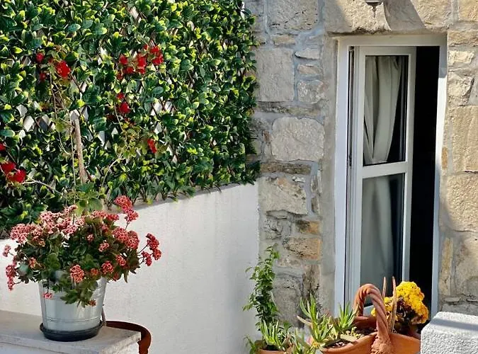 Appartement True Colors