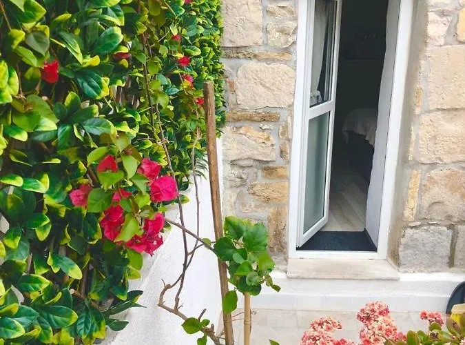 Appartement True Colors *