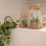 Apartment True Colors Split