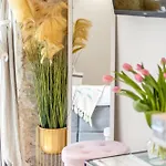 Apartment True Colors