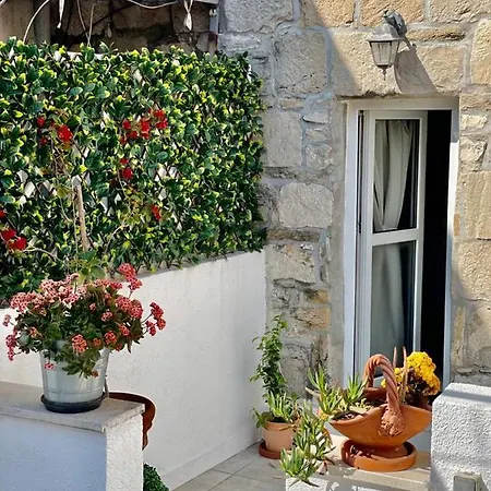 Apartman True Colors