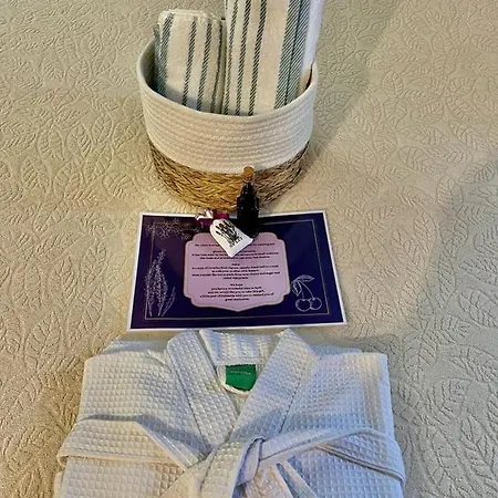 True Colors Apartamento Split