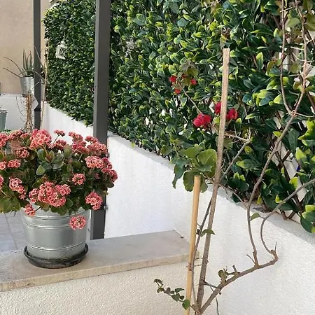 아파트 True Colors 스플리트